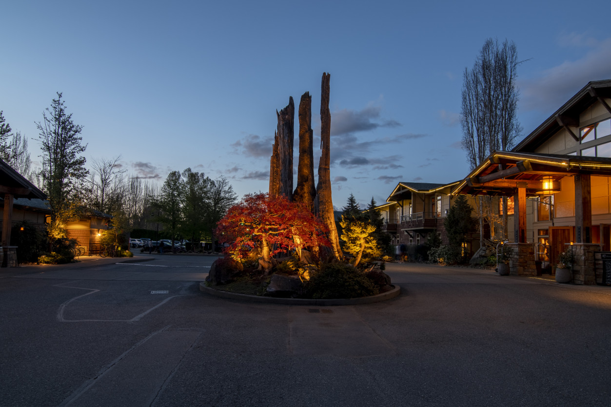 Roundabout entrance at Willows Lodge featuring warm landscape lighting on sculptural stag tree during twilight.