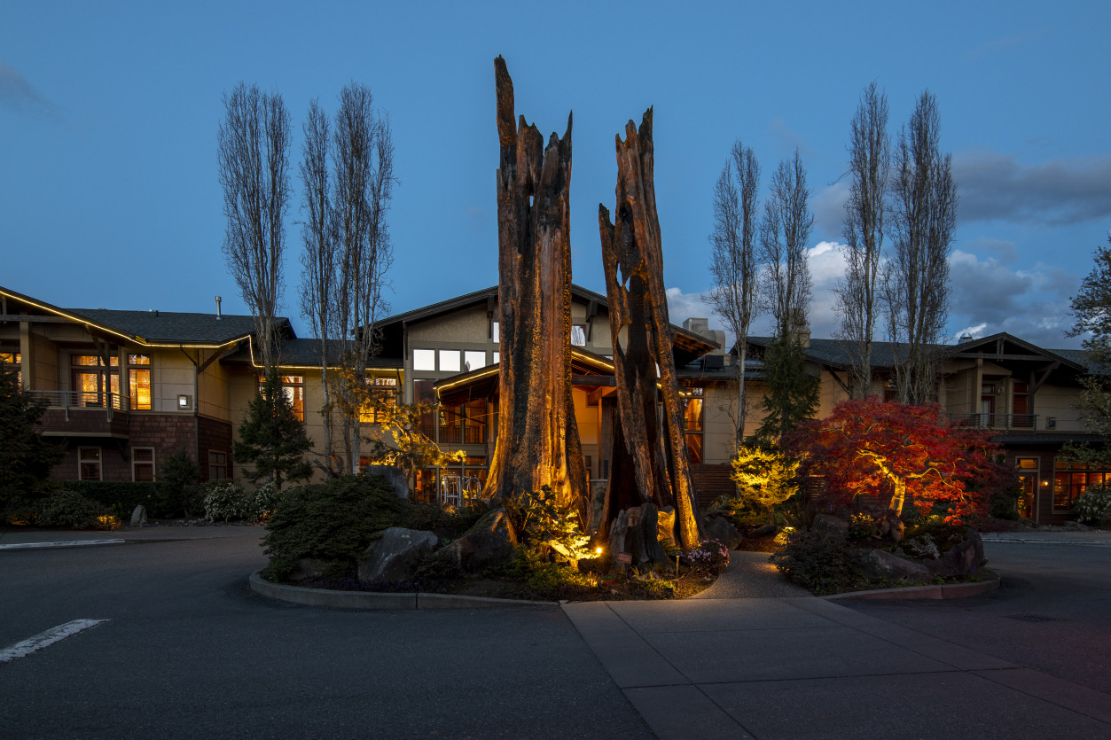Landscape lighting highlighting dramatic stag tree and surrounding foliage at the main vehicle entry of Willows Lodge.
