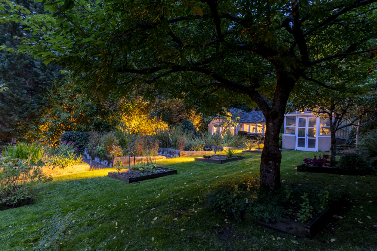 Tree canopy and garden lighting illuminating mature trees and lawn at The Highlands Residence in Shoreline, Washington.