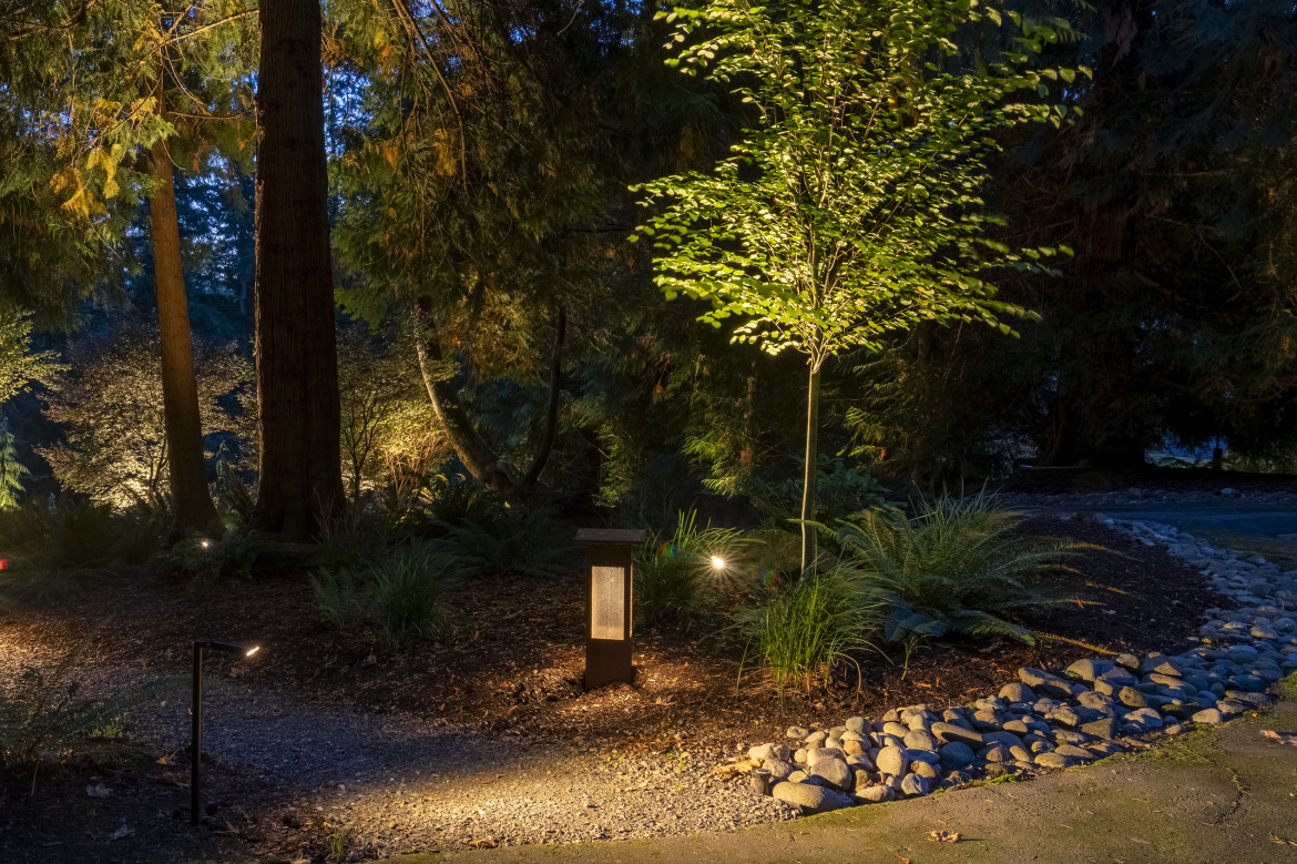 NWOL_Samm_Gleason-2735 (2)