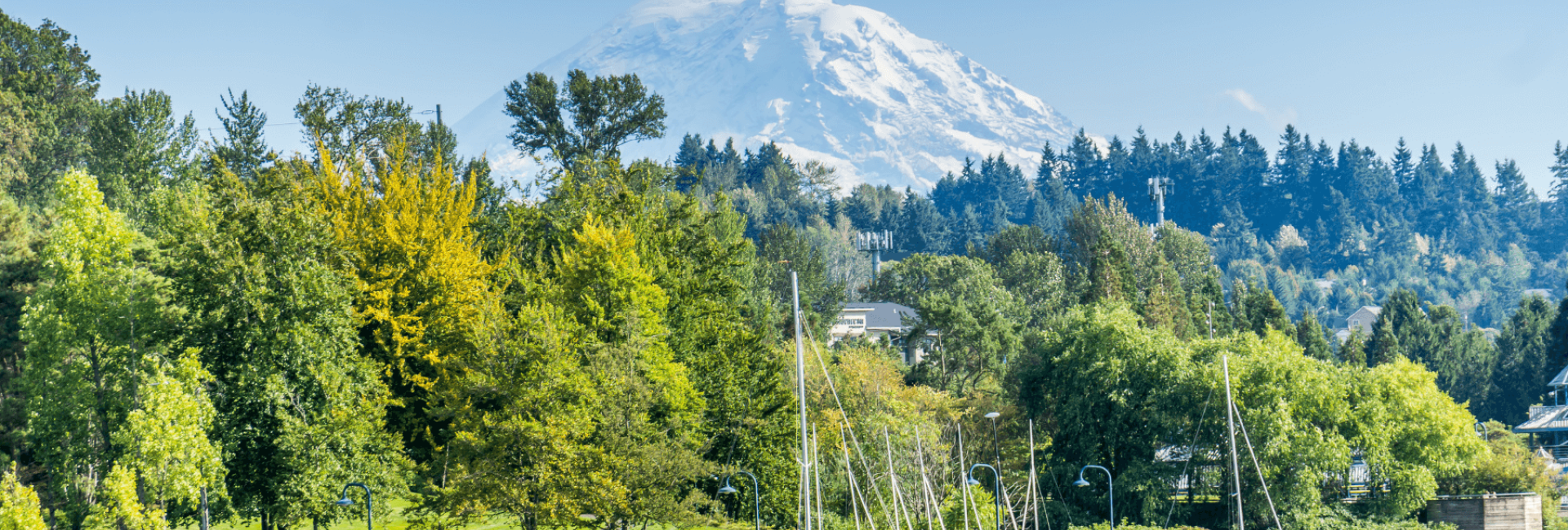 Lightheart Renton Custom Lighting for Renton | Northwest Outdoor Lighting