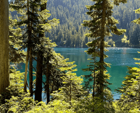 Maple Valley