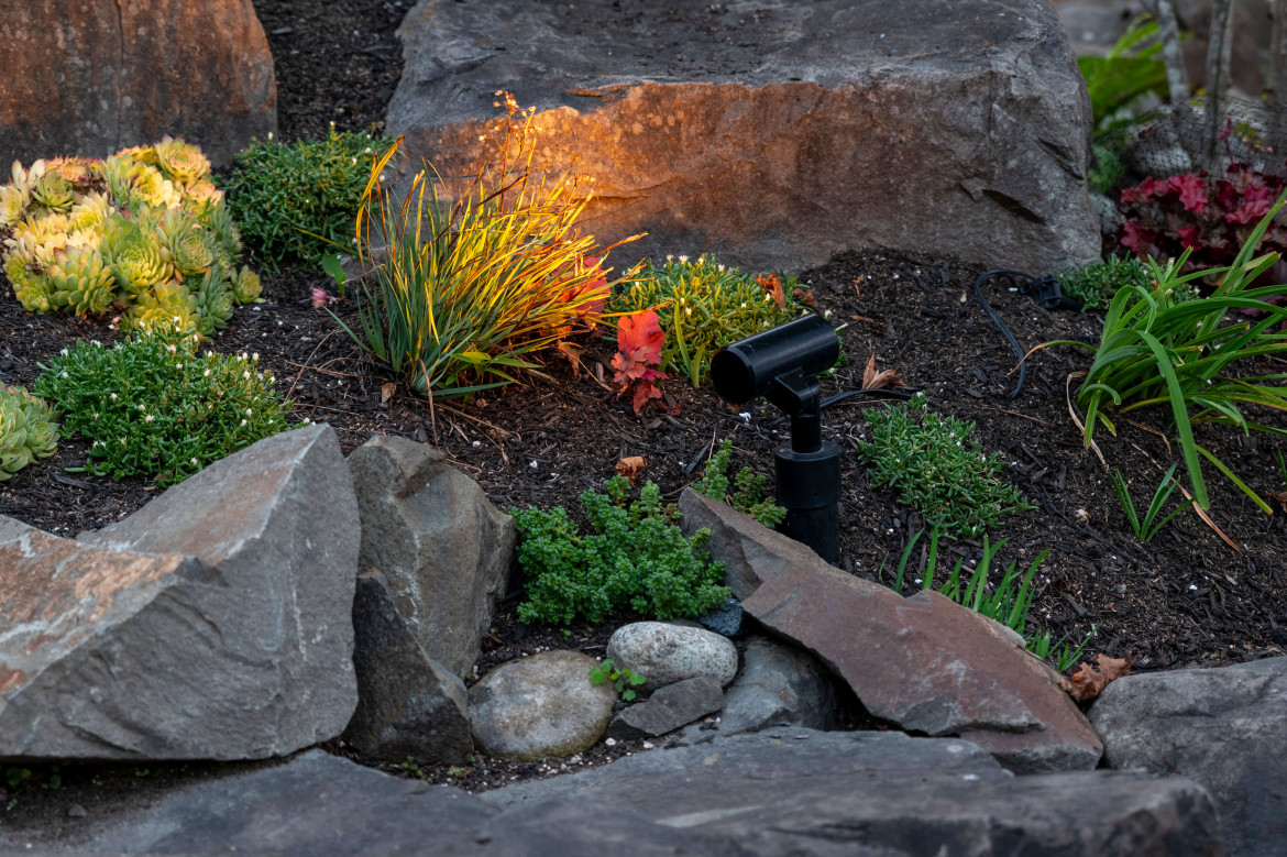 NWOL_Tacoma_Foley-1925