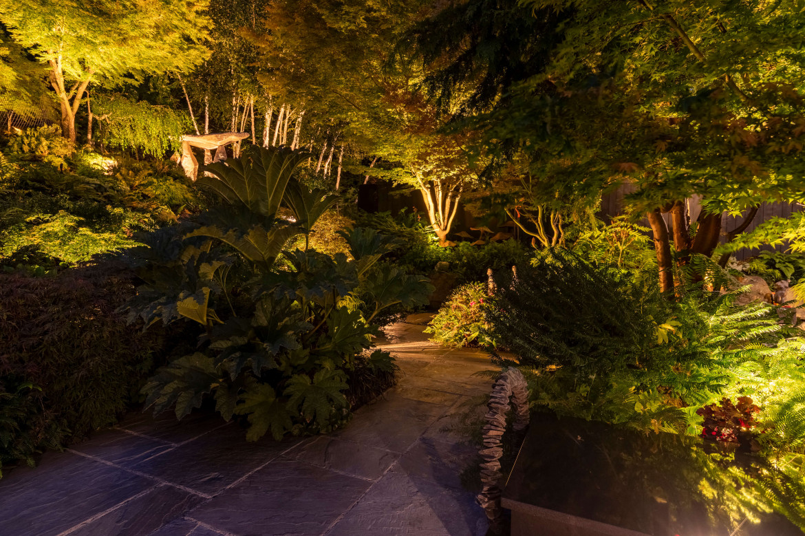 NWOL_Tacoma_Foley-2046