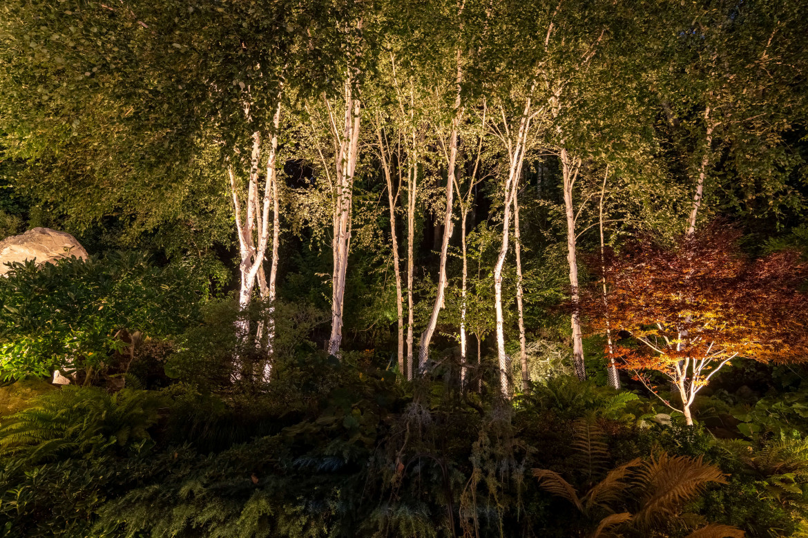 NWOL_Tacoma_Foley-2081