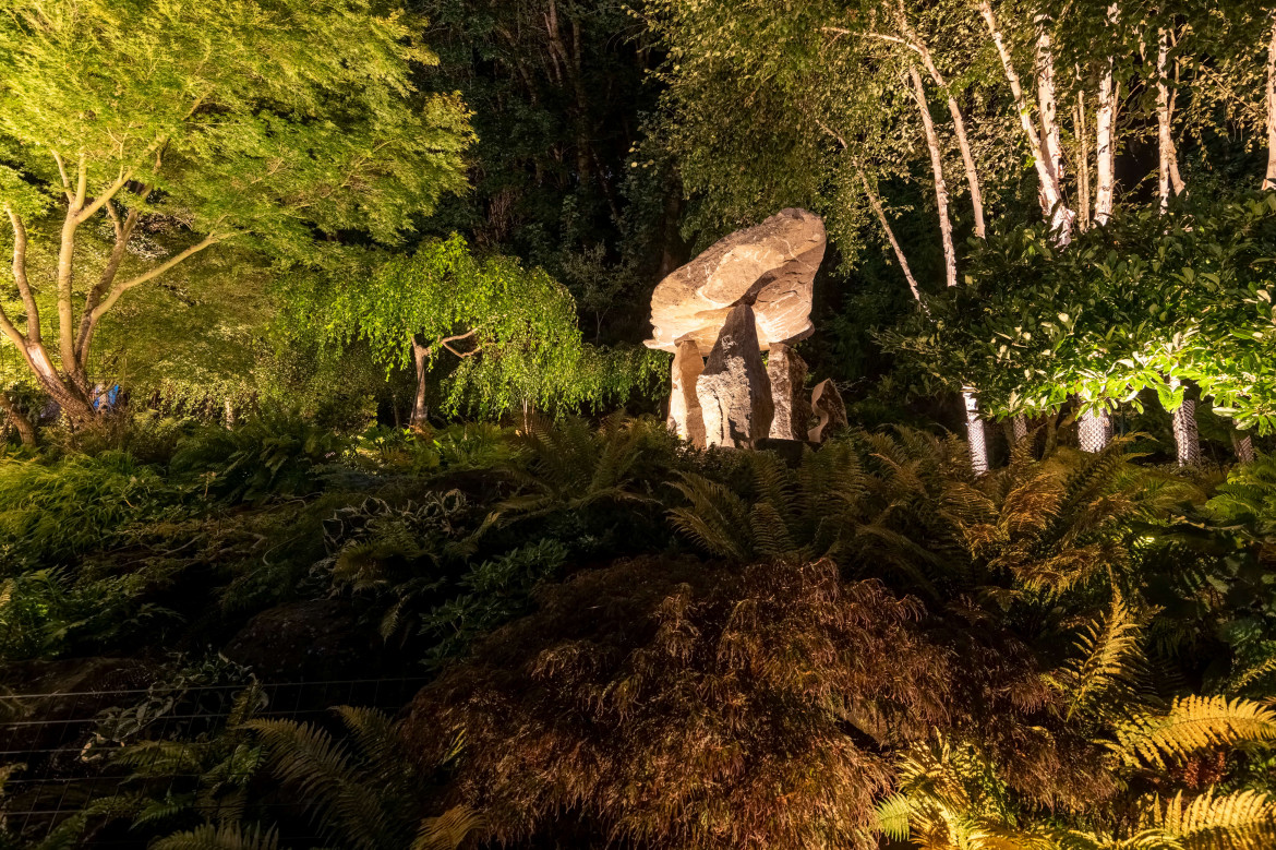 NWOL_Tacoma_Foley-2104