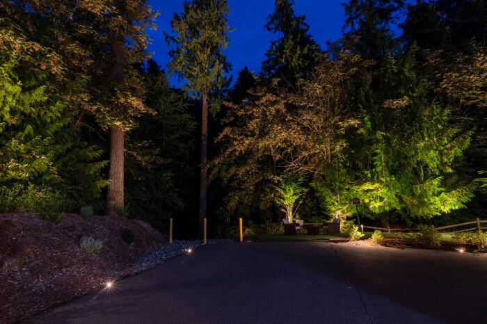Driveway and tree uplighting providing safe vehicle access and creating dramatic depth within wooded setting at Mercer Island residence.
