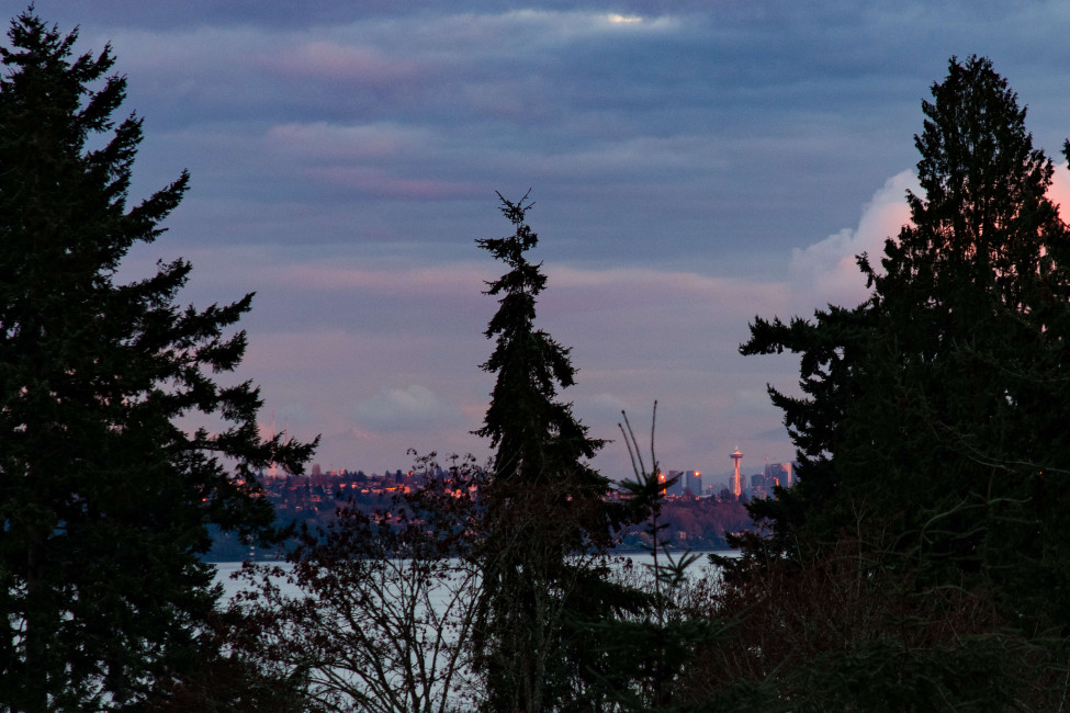 NW Outdoor Bainbridge-3894