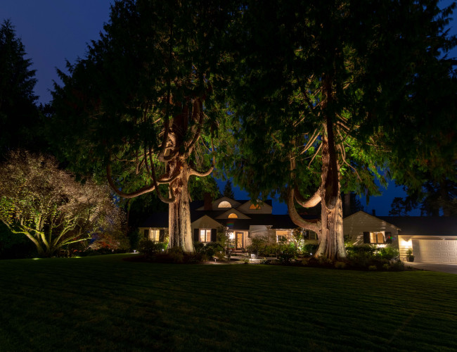 NW Outdoor Edmonds--6