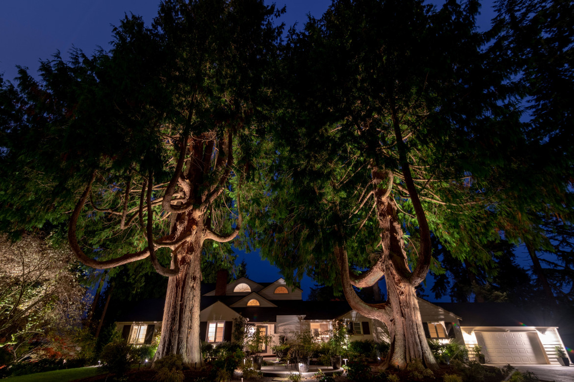 NW Outdoor Edmonds--7