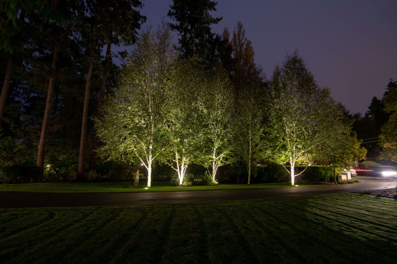 NW Outdoor Edmonds--8