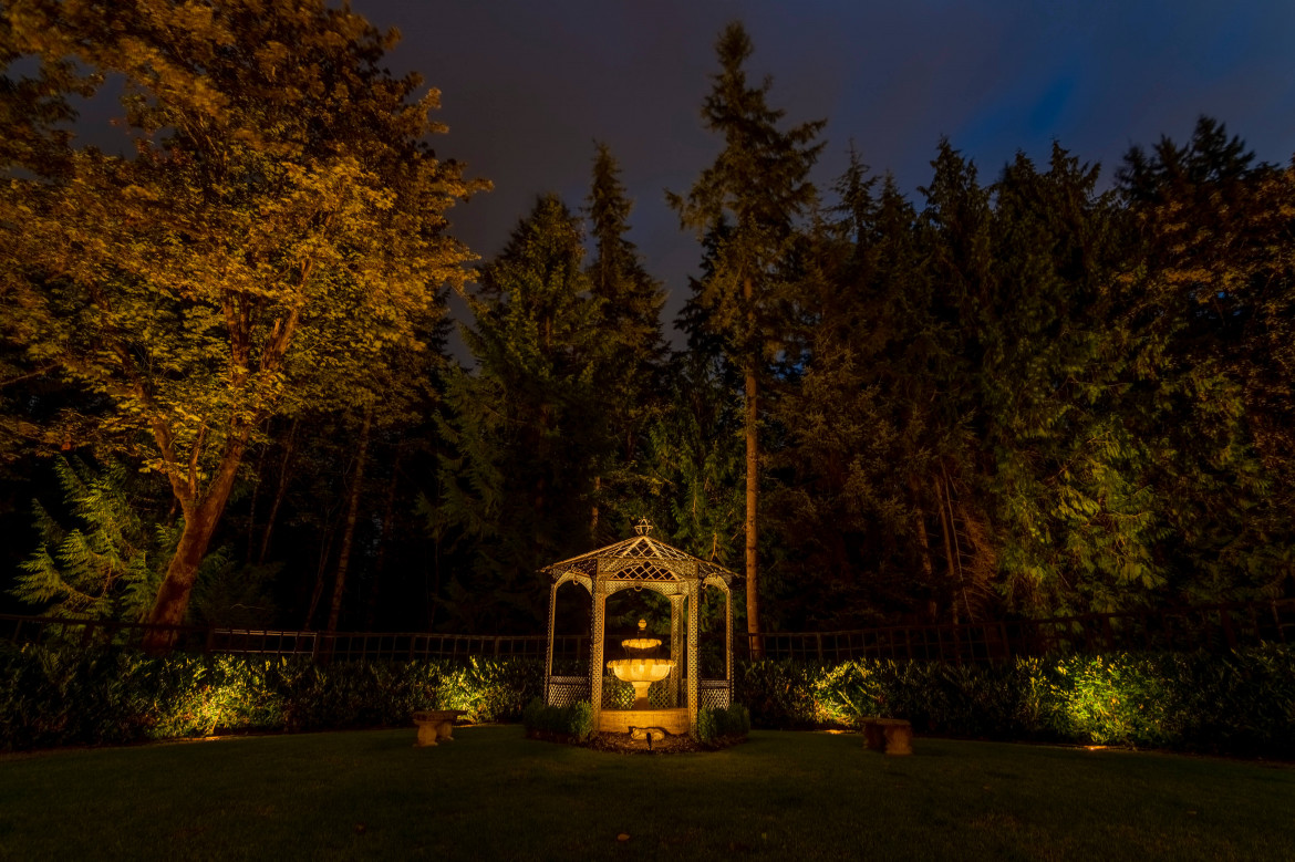 NWOL_Wdnvl2-0665 (1)