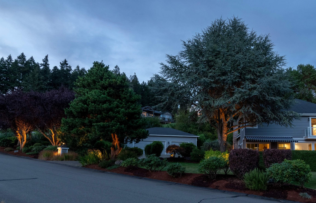 NWOL_Gig Harbor-0713 (1)