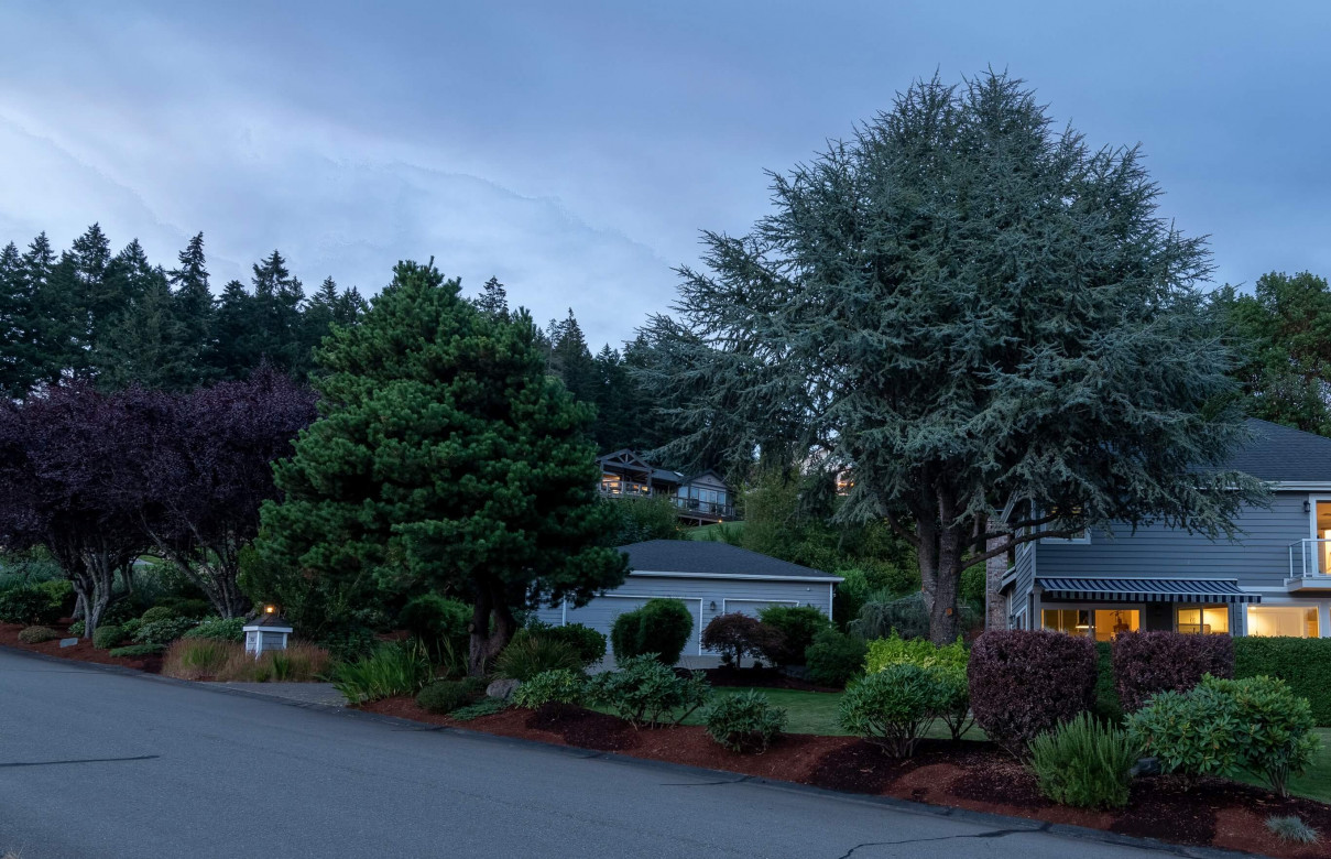 NWOL_Gig Harbor-0719 (1)