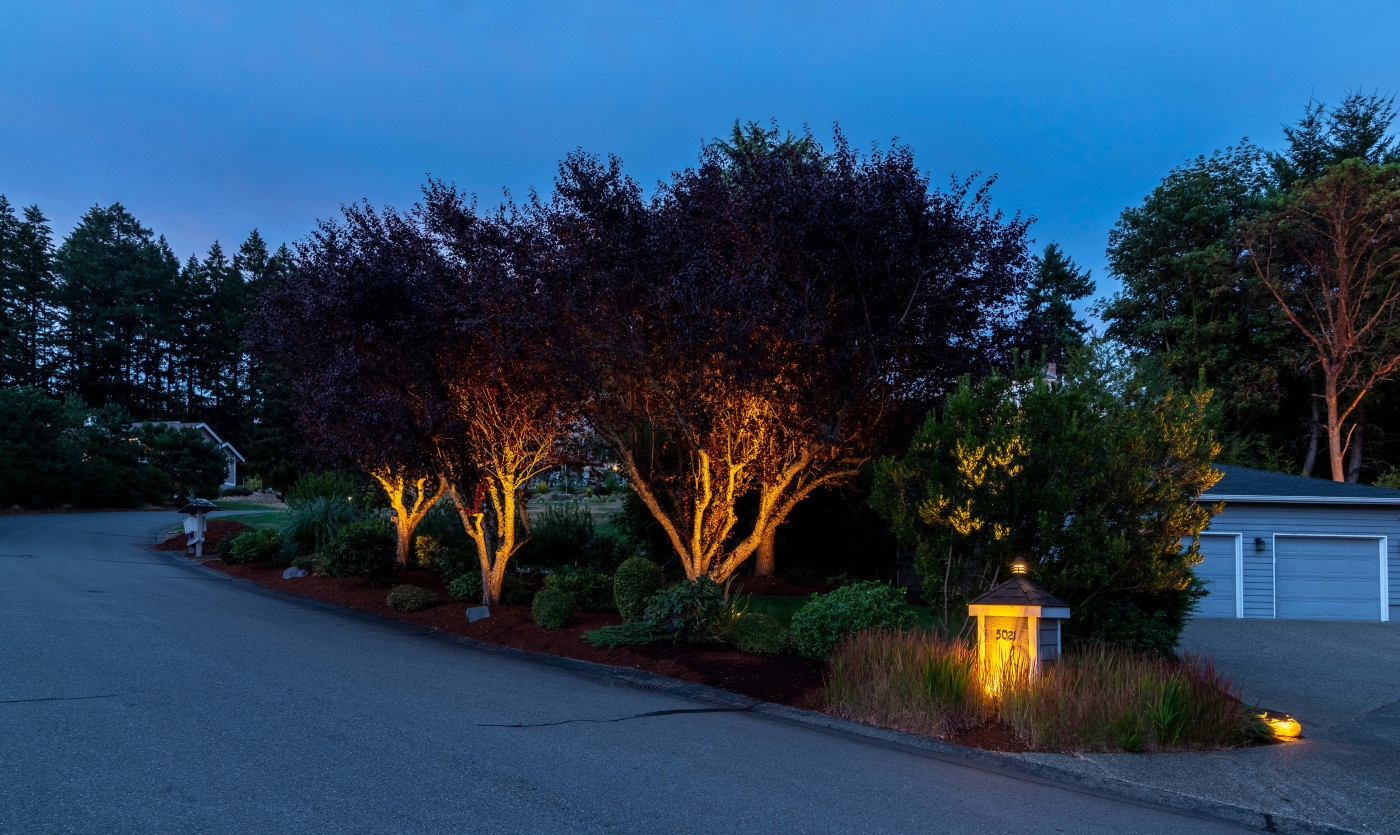 NWOL_Gig Harbor-0726