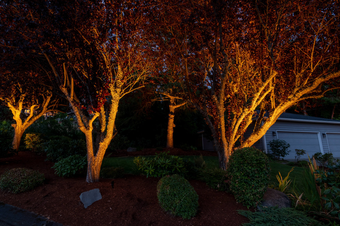 NWOL_Gig Harbor-0745