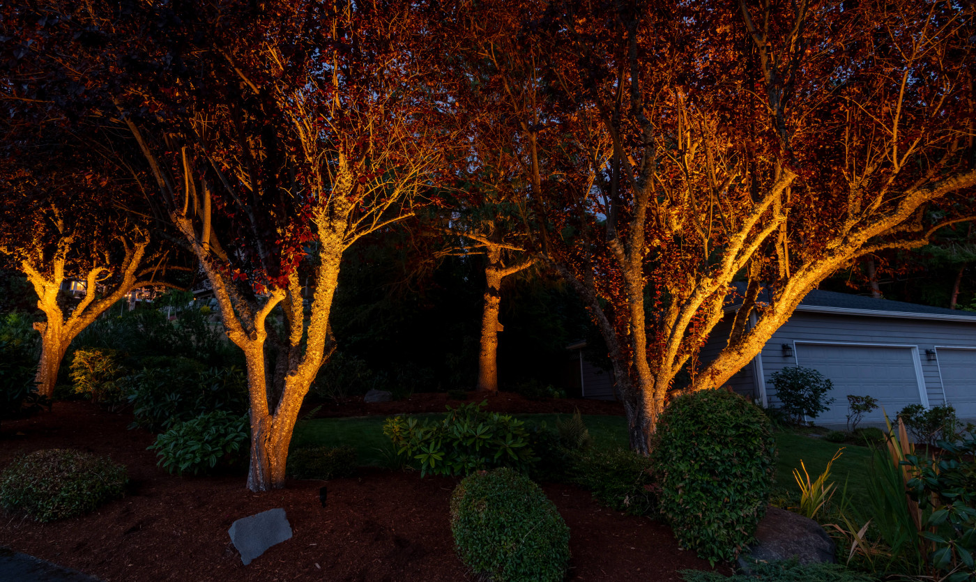 NWOL_Gig Harbor-0745
