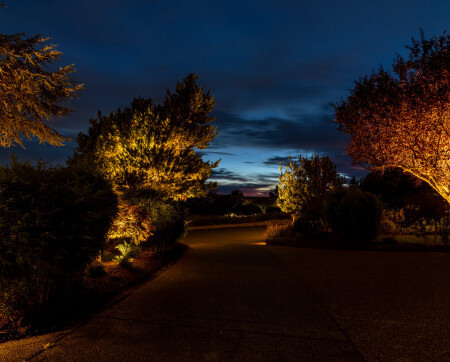 NWOL_Gig Harbor-0828