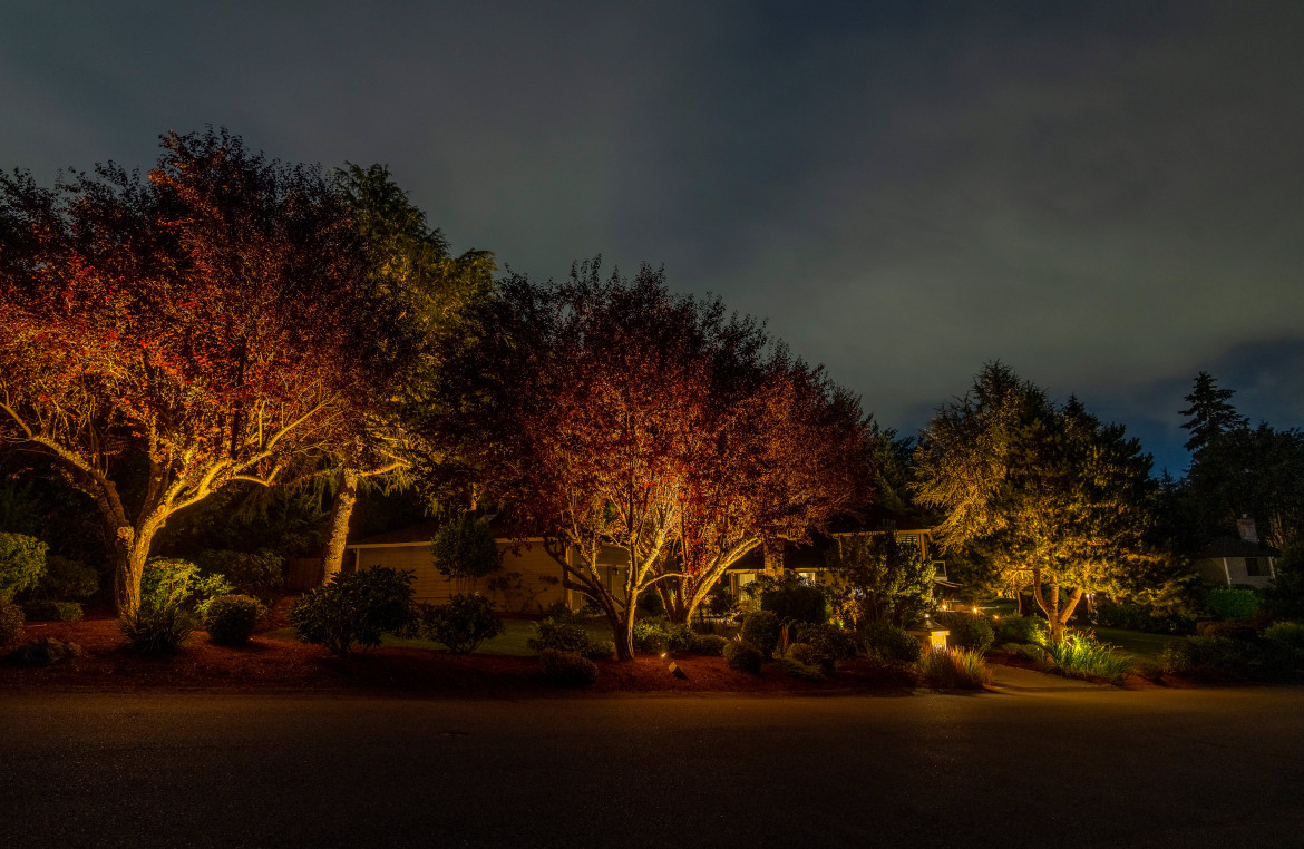 NWOL_Gig Harbor-0834