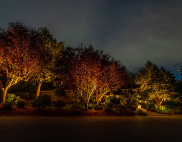 NWOL_Gig Harbor-0834