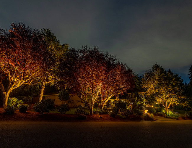 NWOL_Gig Harbor-0834