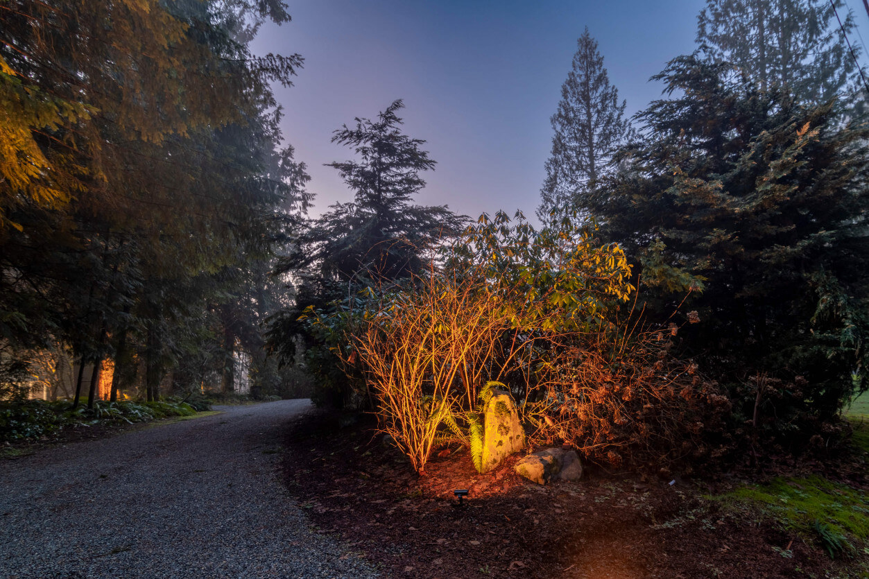 NWOL_TigerMt-3587 (2)