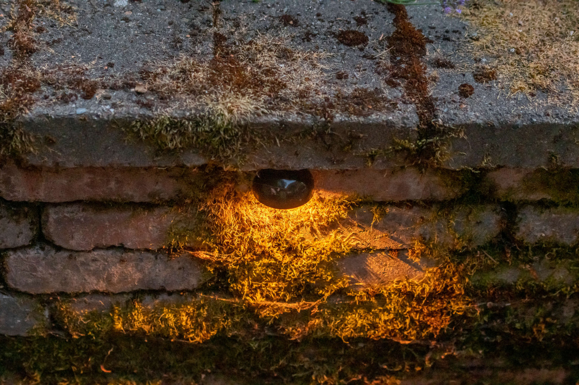 NWOL_Laurelhurst Guess-0847