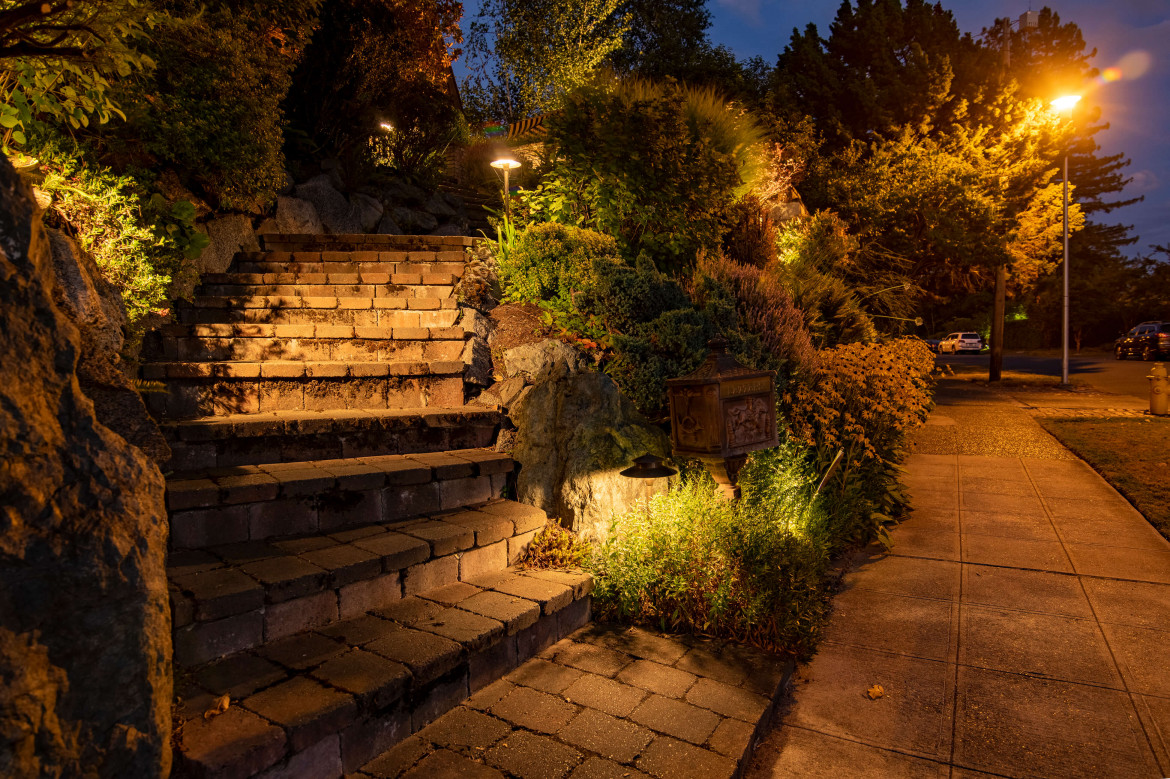 NWOL_Laurelhurst Guess-0958