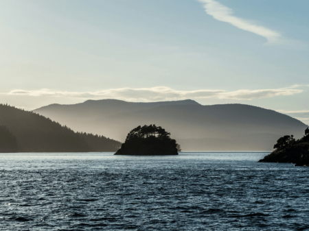 Screenshot 2025-08-28 121345