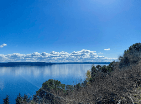 Screenshot 2025-08-28 121234