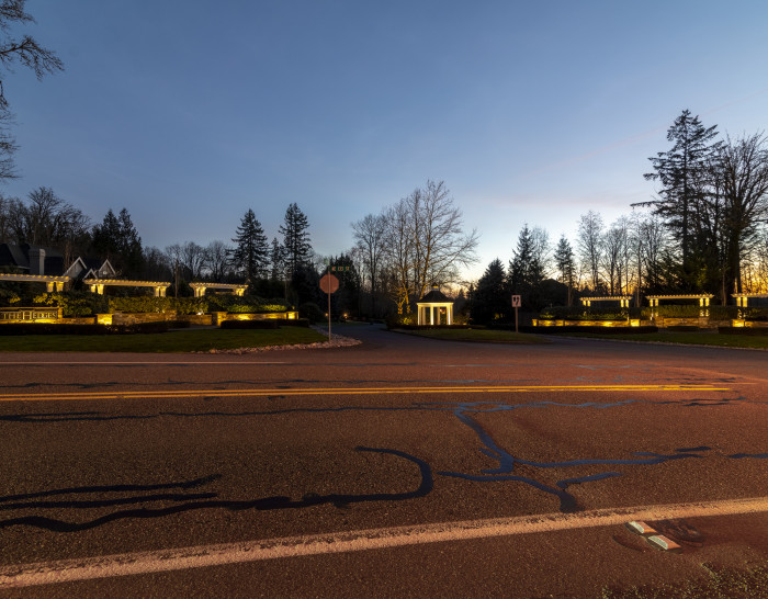NWOL_Hedges-3959