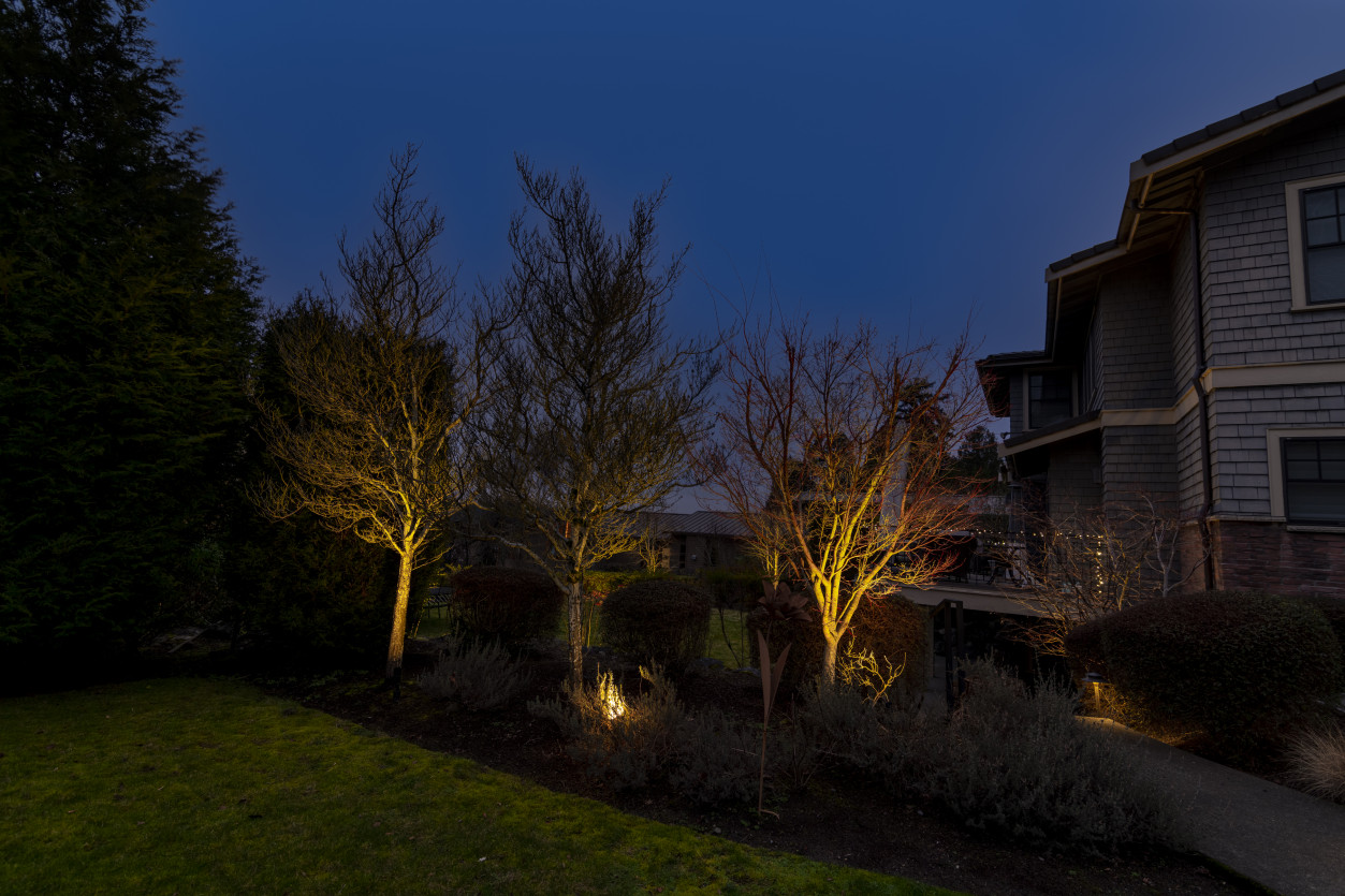 NWOL_YarrowPoint-3647