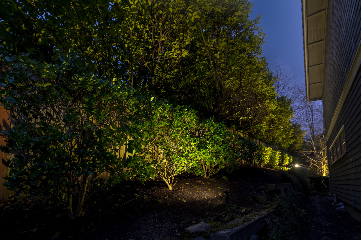 NWOL_YarrowPoint-3666