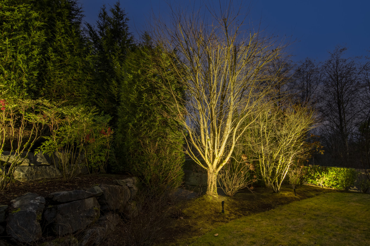 NWOL_YarrowPoint-3683