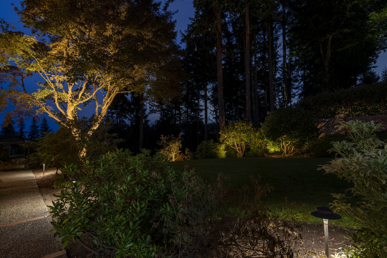 Landscape lighting illuminating mature trees and garden layers leading toward Puget Sound views at a Wind & Tide estate.
