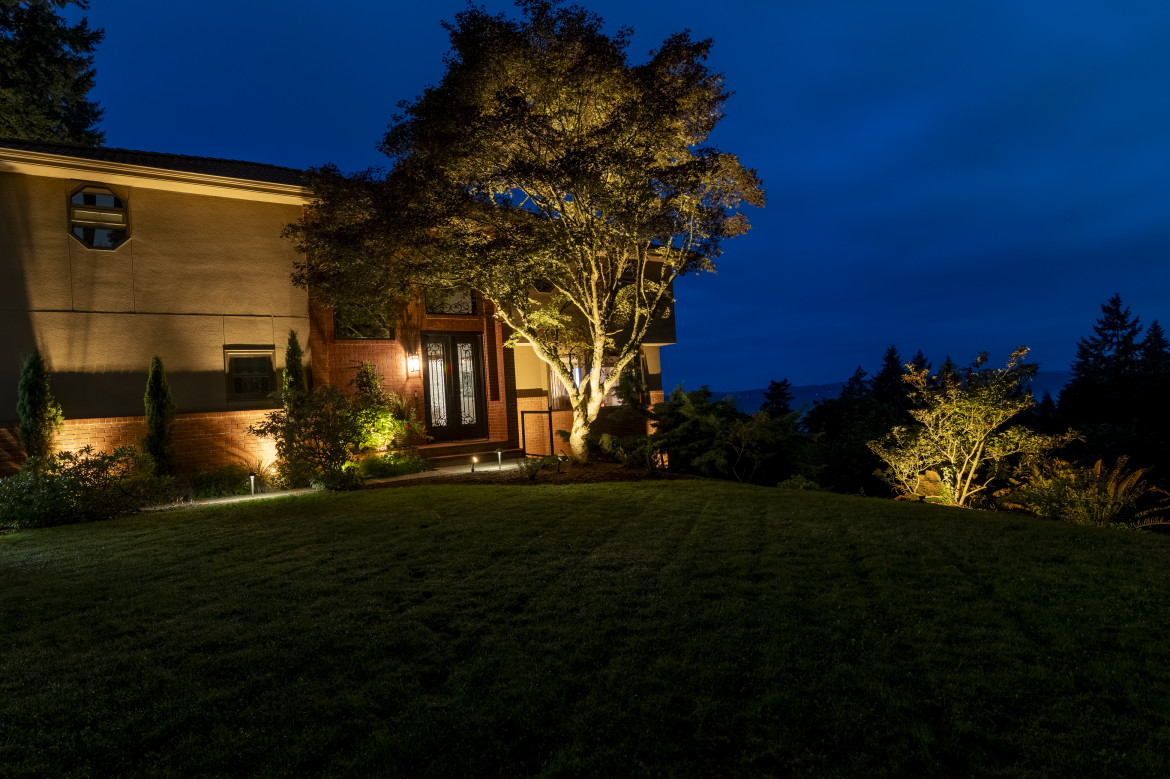 Wide lawn view with Sunset Tone uplighting on trees and foreground plantings framing the waterfront horizon at night.