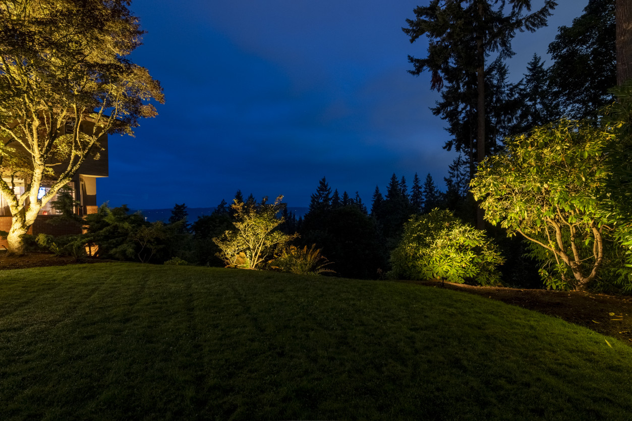 Evening garden lighting showcasing shaded lawn and layered planting beds against a deep blue sky backdrop.