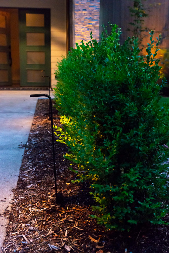 Low-profile pathway lighting highlighting evergreen hedge and entry walkway landscaping at a modern Mercer Island residence.