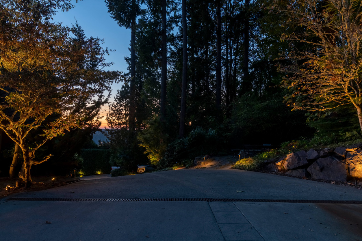 Landscape lighting illuminating sculptural tree form and planting beds along curved estate driveway in Sammamish.