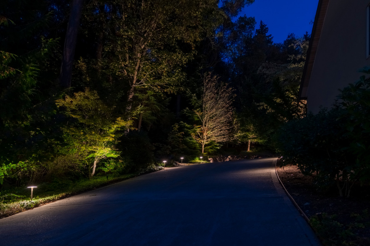 Driveway perimeter lighting showcasing mature evergreens and natural landscaping with low-profile fixtures guiding arrival at a Sammamish luxury property.