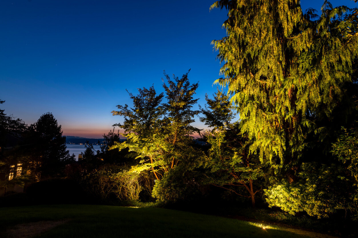 Landscape uplighting highlighting tall evergreens and open lawn with sunset sky reflections at Sammamish Art & Pool Estate.