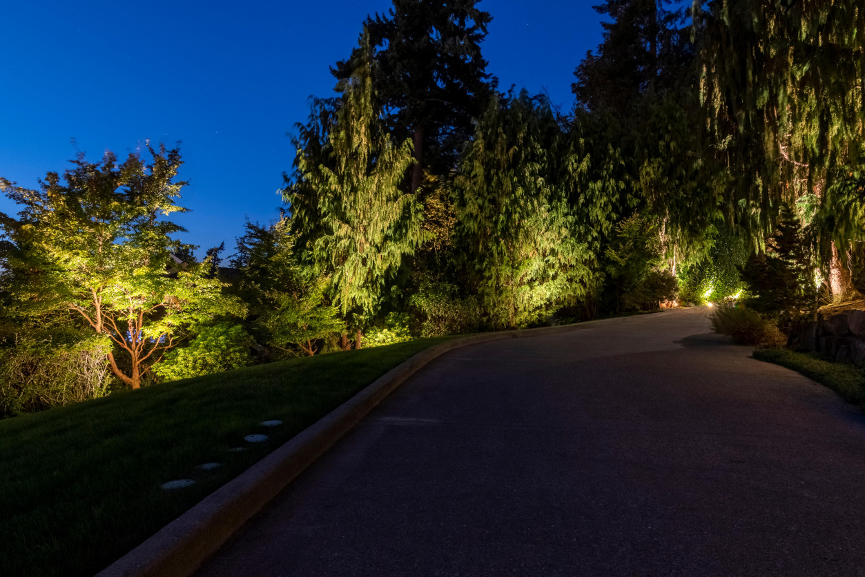 Evening driveway lighting guiding the entry route with accent lighting on layered plantings and trees at Sammamish luxury home.