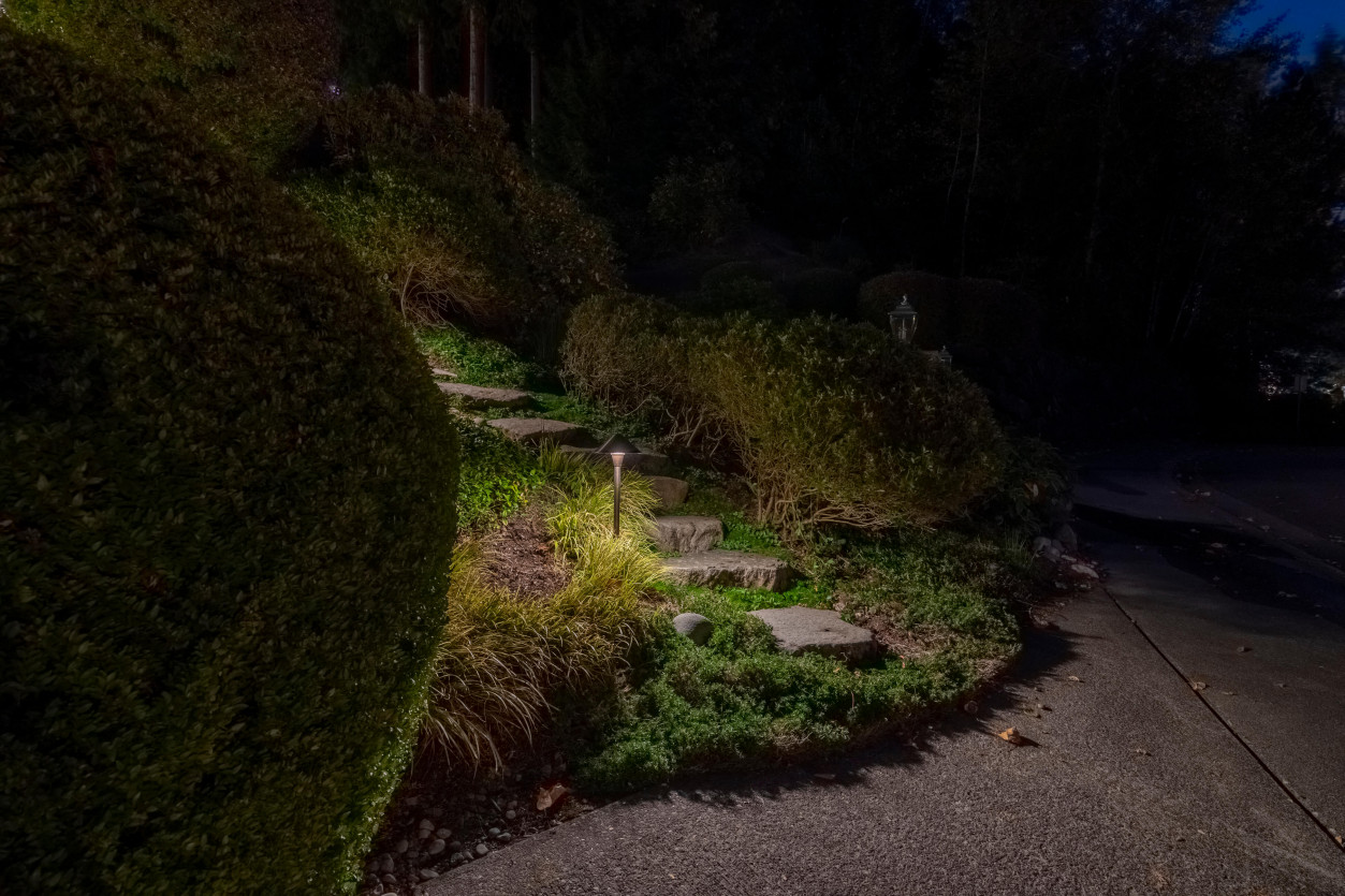 Illuminated tiered stone steps with integrated pathway lighting leading through sculpted greenery at Sammamish Art & Pool Estate.
