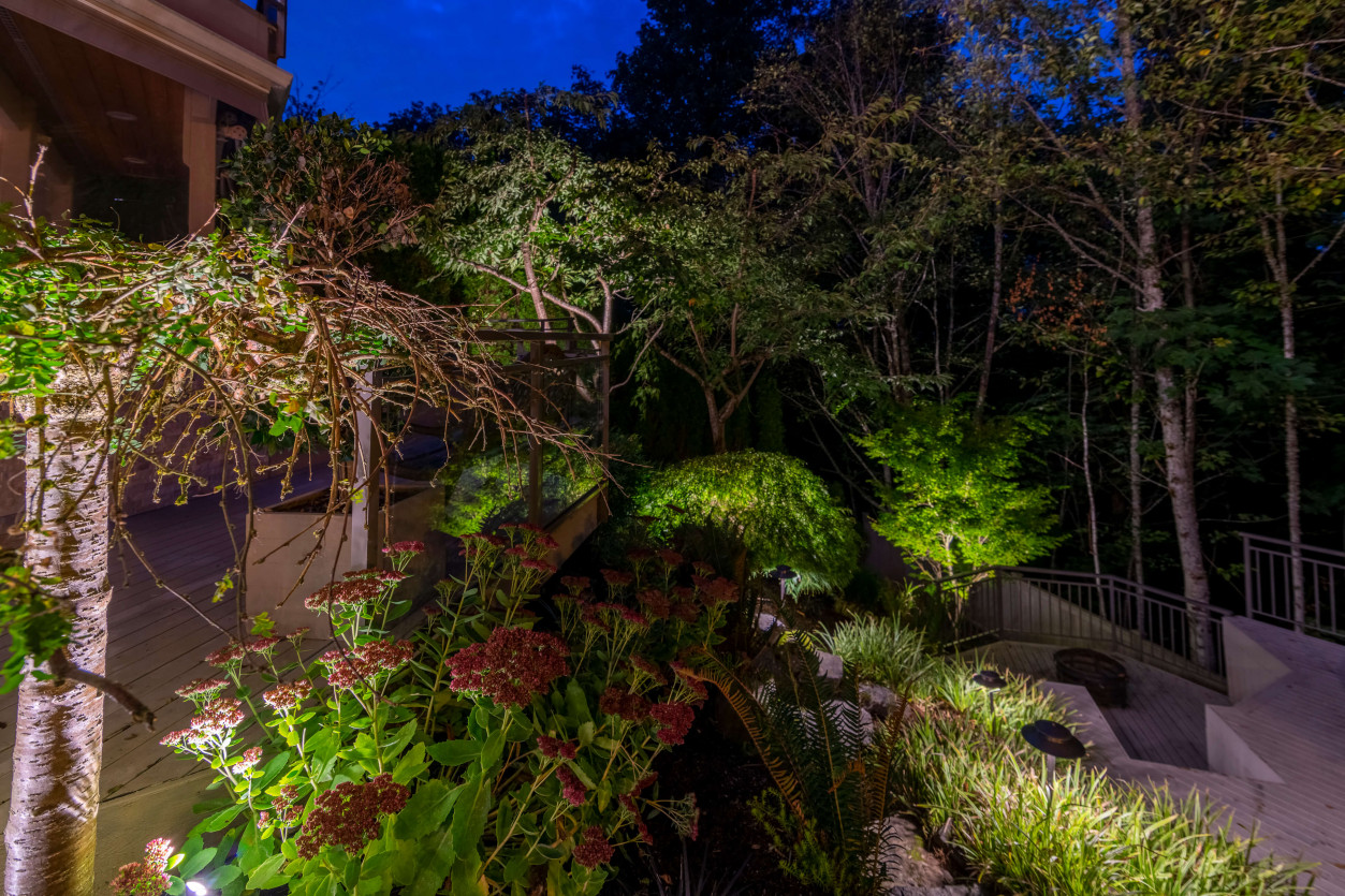 Landscape uplighting on textured greenery beside multi-level deck staircase at Sammamish backyard.