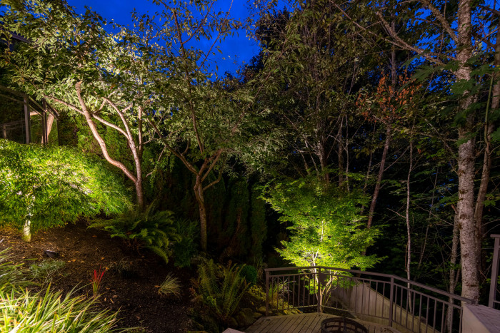 Soft uplighting on dense natural foliage surrounding tiered deck environment at family home.