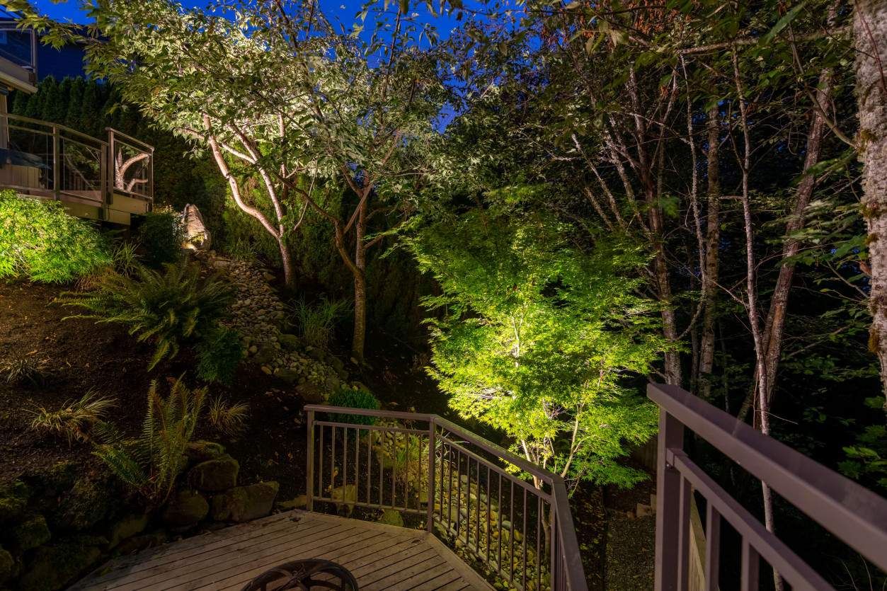 Step lighting guiding path between deck levels with illuminated garden foliage.