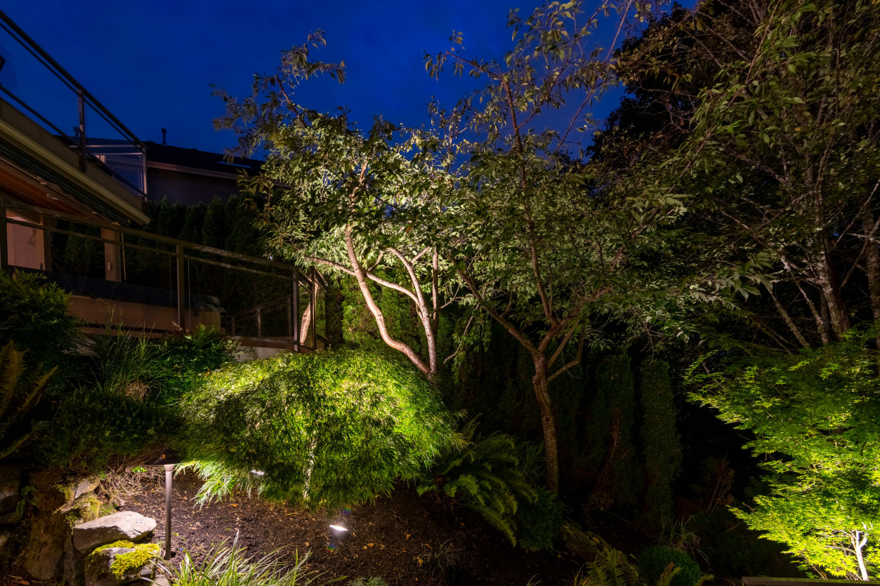 Outdoor lighting illuminating dense garden greenery and mature trees in a Sammamish backyard, creating depth and nighttime visibility.
