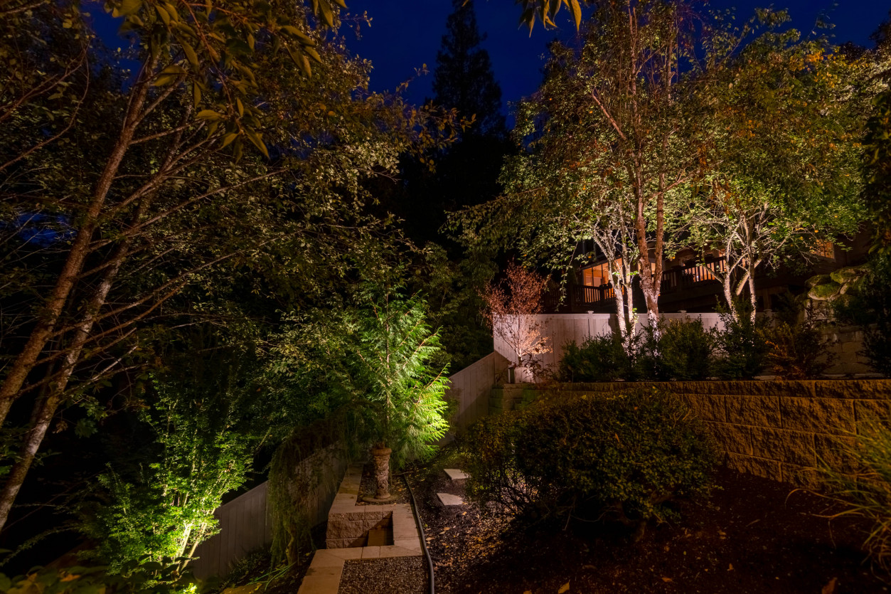 Backyard hillside garden in Sammamish illuminated with subtle outdoor lighting to highlight trees, retaining walls, and foliage.