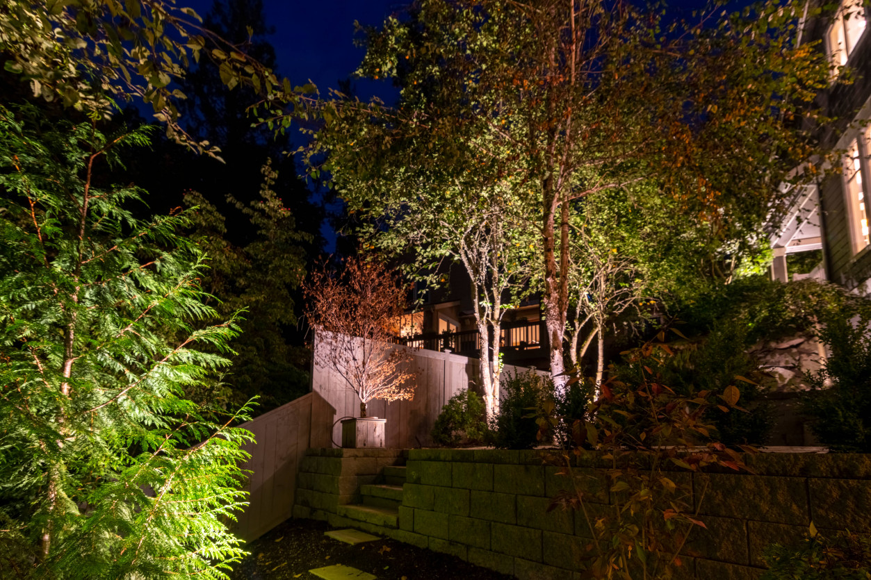 Narrow garden pathway and privacy landscaping enhanced with warm lighting for nighttime safety and ambiance in Sammamish backyard.