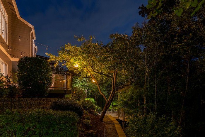 Backyard pathway lighting in Sammamish with warm 2700K uplighting on layered landscaping and stone steps — Northwest Outdoor Lighting.